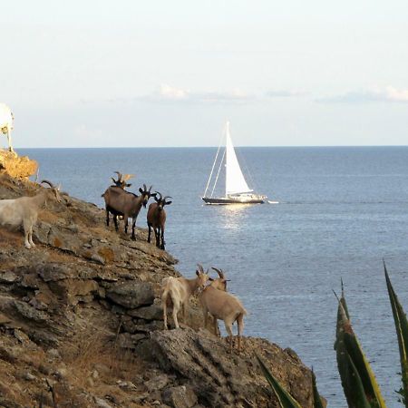 Isola D'Elba Come In Barca, A Un Tuffo Dal Mare Capoliveri  Bagian luar foto