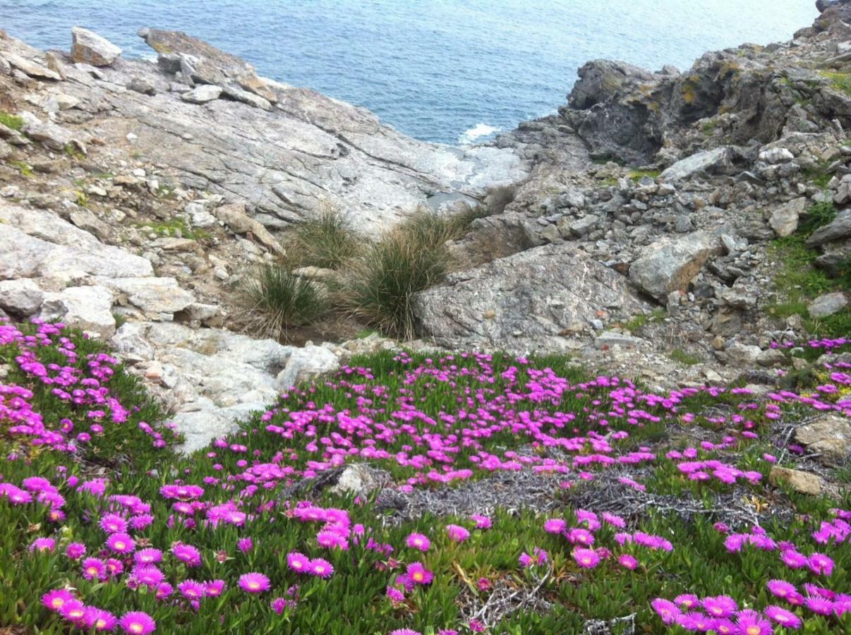 Isola D'Elba Come In Barca, A Un Tuffo Dal Mare Capoliveri  Bagian luar foto